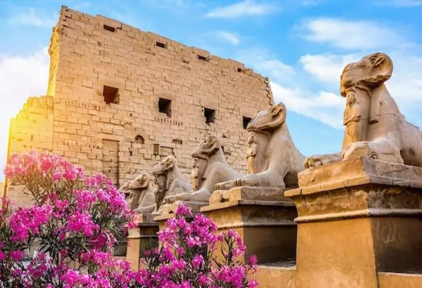 12-day tour package-Luxor and Cairo by air